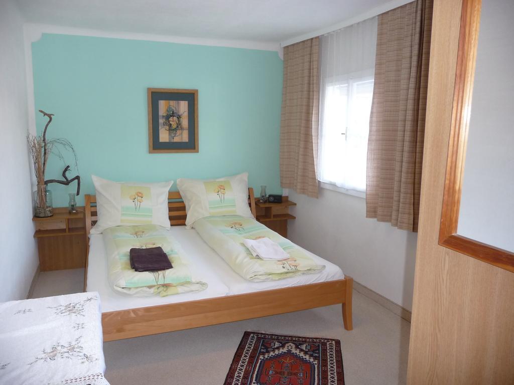 Haus Gradwohl Apartment Schladming Cameră foto