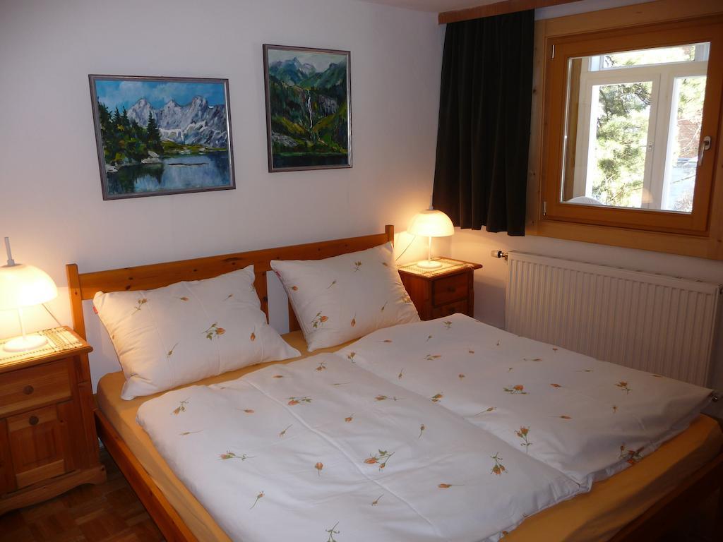 Haus Gradwohl Apartment Schladming Cameră foto